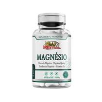 Magnésio 4 Em 1 30 Cápsulas Rei Terra Magnésio 4 Em 1 30 Cápsulas Rei Terra