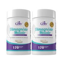Magnésio Dimagnésio Malato Bisglicinato 500mg 2x 120 Cápsula Magnésio Dimagnésio Malato Bisglicinato 500mg 2x 120 Cápsula