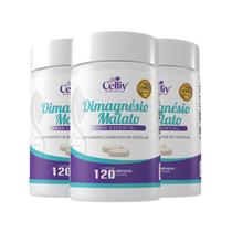 Magnésio Dimagnésio Malato Bisglicinato 500mg 3x 120 Cápsula
