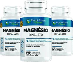 Magnesio Dimala to 360 Capsulas 600 mg 3 frascos x 120 caps - Floral Ervas Do Brasil