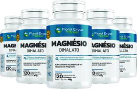 Magnesio Dimala to 600 Capsulas 600 mg 5 frascos x 120 caps - Floral Ervas Do Brasil