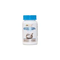 Magnésio Malato Suplemento Alimentar 100% Idr 60 Cápsulas