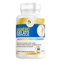 Magnesio Quelato 500mg 60cps Puro Concentrado Fits Life