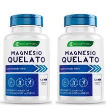 Magnésio Quelato Ecomev: Suplemento Vital Energizante