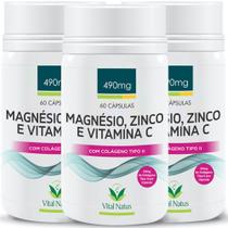 Magnésio + Zinco + Vitamina C + Colágeno Tipo 2 KIT 3 Frascos