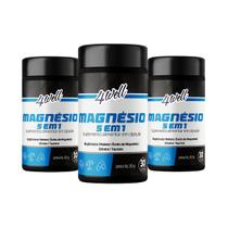 Magnésios 5 4well 260mg - 60 cápsulas 30 Doses - Combo 3 Potes Magnésios 5 4well 260mg - 60 cápsulas 30 Doses - Combo 3 Potes