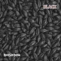 Malte Black Viking 1.200-1.400 EBC Breja Box - Viking Malt