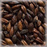 Malte Chateau Chocolate - Castle Malting