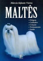Maltês-Origem, Cuidados, Criação, Treinamento e Saúde - Prata