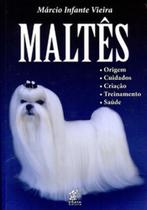 Maltês: origem, cuidados, criação, treinamento, saúde - PRATA Maltês: origem, cuidados, criação, treinamento, saúde - PRATA