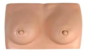 Mama simulador rcp profissional com maleta aluminio - anvisa Mama simulador rcp profissional com maleta aluminio - anvisa