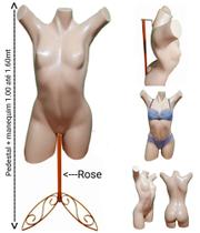 Manequim feminino (Meio corpo pose Cláudia Raia N.38) bege + pedestal retro na cor Rose Manequim feminino (Meio corpo pose Cláudia Raia N.38) bege + pedestal retro na cor Rose