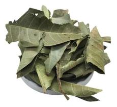 Manga Folha 1kg (Erva Desidratada) Manga Folha 1kg (Erva Desidratada)