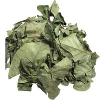 Mangaba folha 1Kg (Hancornia speciosa)