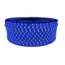 Mangueira Azul Chata Led 5050 1000w 100m 110v + 04 Conectores