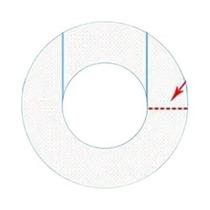 Mangueira de Silicone Alimentícia Transparente - 5 Metros - Flexível e Resistente