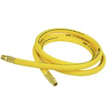 Mangueira DEWALT DXCM012-0209 Premium Hybrid Lead-In 3/8 pol x 6 pés