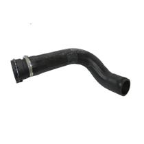 Mangueira Radiador Superior Iveco Stralis Com Bocal 13001MMB 41218108 Mangueira Radiador Superior Iveco Stralis Com Bocal 13001MMB 41218108