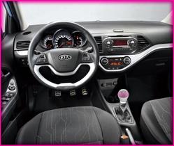 Manopla de Câmbio Rosa Cromo (modelo Sport)