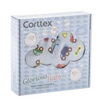 Manta Bebê Infantil Microfibra Cueiro Cobertor Anti-alérgico Glorious Baby 90x110cm Corttex