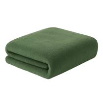 Manta Casal Lisa Microfibra Toque Macio 180x200cm Admirare 170 gramatura - Verde