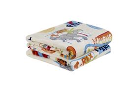 Manta Cobertor Soft Super Macio Antialérgica Flannel Kids - Casa Pedro