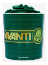 Manta Mais Balde 5l Time Palmeiras Clube Kit Futebol Cinema Verde Simbolo Palmeiras Mais Hino Manta Mais Balde 5l Time Palmeiras Clube Kit Futebol Cinema Verde Simbolo Palmeiras Mais Hino