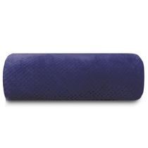 Manta Microfibra Casal Flannel Appel Pollo Azul