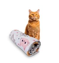 Manta Soft Cachorro/Gato Estampa Gatinhos fofos 70x100