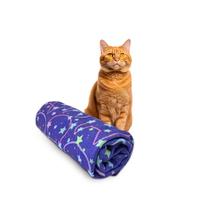 Manta Soft Cachorro/Gato Estampa Gato Galáctico 70x100