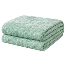 Manta Soft Fio de Ouro 2,10m x 1,90m Frio Quentinha Verde Manta Soft Fio de Ouro 2,10m x 1,90m Frio Quentinha Verde