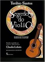 Manual de Organização Judiciaria- Acesso À Justica - LUMEN JURIS