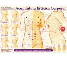 Mapa - Acupuntura Estética Corporal - Profº Franco Joji Enomoto