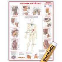 Mapa Anatômico Enrolado Do Sistema Linfático 120x90 Cm - Medicina - Enfermagem