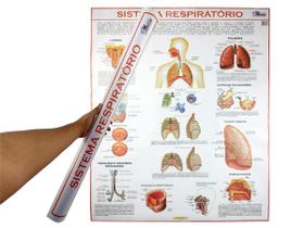 Mapa Banner Anatomia do Sistema Respiratório Humano Para Estudo Biologia Pôster Medicina 120x90CM - MultiMapas
