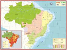 Mapa Brasil Biomas Biodiversidade Escolar Poster Escolar Geográfico Poster Grande