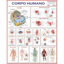 Mapa Corpo Humano 120X90 - Multimapas Mapa Corpo Humano 120X90 - Multimapas
