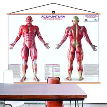 Mapa Corpo Humano Rotas Energia Acupuntura Banner Laminado