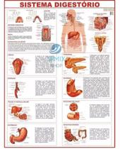 Mapa Corpo Humano Sistema Digestorio 120x90 Cm - SPM