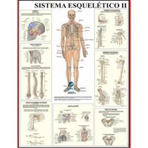 Mapa de anatomia humana - sistema esquelético 2 - MULTIMAPAS