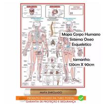 Mapa Do Corpo Humano Sistema Esqueletico I 120x90 Cm - Enrolado Em Tubo - SPM