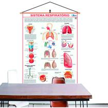 Mapa Do Corpo Humano Sistema Respiratório Banner Laminado Com Cordinha para Pendurar