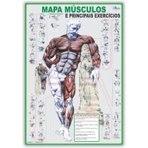 Mapa Dobrado de Anatomia Humana Músculos E Principais Exercícios - Escolar - Fisioterapia