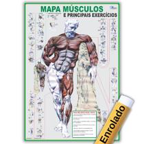 Mapa Enrolado de Anatomia Humana Músculos E Principais Exercícios - Fisioterapia - Academia