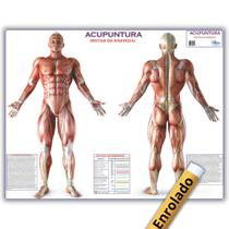 Mapa Gigante: Acupuntura Rotas Da Energia - Anatomia Enfermagem E Fisioterapia - Enrolado