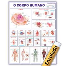 Mapa Gigante Do Corpo Humano - Enrolado - Medicina - Anatomia - Enfermagem - Fisioterapia