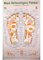 Mapa Reflexologia Plantar Mapa Reflexologia Plantar