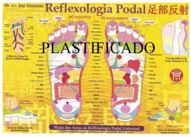 Mapa Reflexologia Podal Massagem Universal Prof. Enomoto - Dr. H.C. Profº. Enomoto