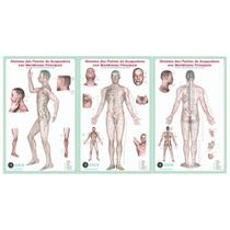 Mapa - Sistema dos Ptos de acupuntura nos Meridianos Principais - SEM CANALETA