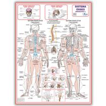 Mapa Sistema Esquelético I Dobrado- Gigante 120 X 90cm - Enfermagem - Medicina